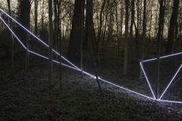 Raumlinien work forrest by Martin Hesselmeier