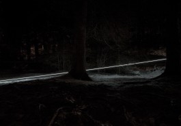 Raumlinien work Lenzerheide Zauberwald by Martin Hesselmeier