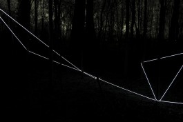 Raumlinien work forrest by Martin Hesselmeier