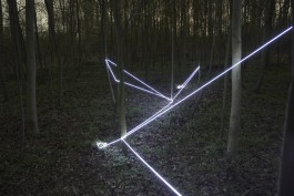 Raumlinien work forrest by Martin Hesselmeier