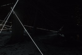 Raumlinien work Lenzerheide Zauberwald by Martin Hesselmeier