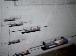 SARoskop Installation KHM Köln 