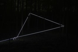 Raumlinien work forrest by Martin Hesselmeier