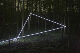 Raumlinien work forrest by Martin Hesselmeier