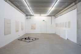 Martin Hesselmeier